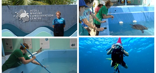 Tri tjedna među kornjačama: Studentica iz Splita volontirala na Maldivima